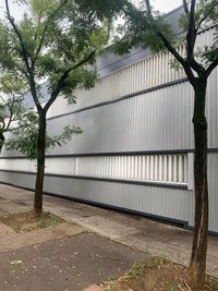 Foto 1-9-25, 9 59 09