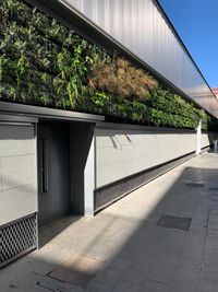 Foto 29-11-24, 12 24 44