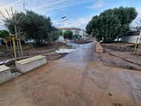 WhatsApp Image 2025-12-16 at 17.03.55