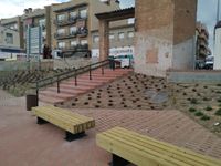 IMG_20220304_154818 (Medium)